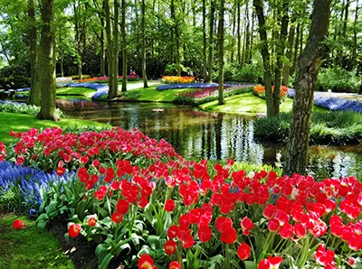 Jardins de Keukenhof, pres d-Amsterdam, Pays-Bas